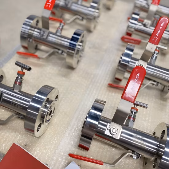 Collecteurs à 2 vannes en acier inoxydable, 1/2